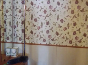 Апартаменты Philisa na Turbaze Зеленая