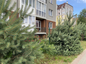 Апартаменты Яблоневая