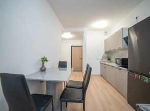 Апартаменты Гагарина 9 Серая