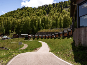 Глэмпинг Эндемик