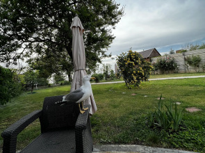 Rajskij Ugolok Guest House