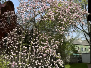 Квартира в Доме Начала ХХ Века в Старинном Районе Амалиенау