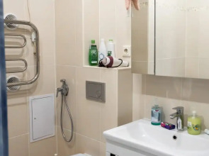 Квартира в ЖК IQ Dom