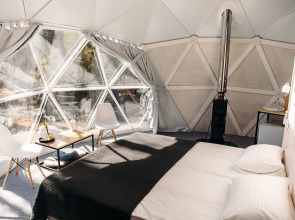 Шале Елки на горке 1