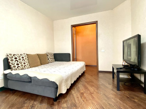 Апартаменты Демьяна Бедного