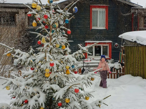 Гостевой дом Лосиный Тупичок
