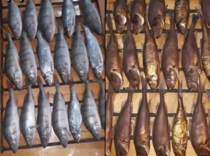 База отдыха Lake House