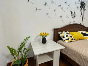 Апартаменты 1-комнатные с видом на Волгу (Бухта)