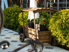 Отель Анютины Глазки