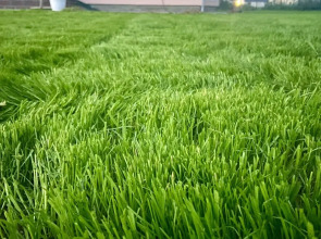 Частный дом Дача-комфорт