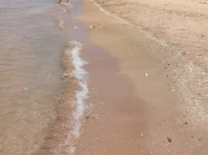 Мини-Отель Добрый Бобр