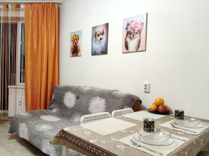 Квартира Трёшка Пёсики Милашки