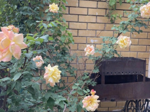 Гостевой Дом Курортный домик у Машука