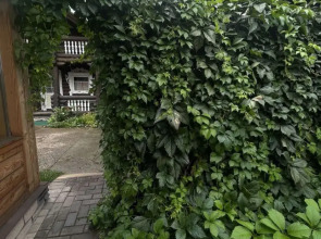 Гостевой Дом Соболь