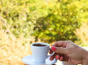 База отдыха Хижина Лесника