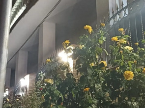 Гостиница Купидон