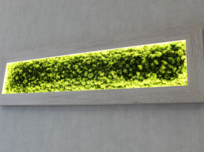 Отель Valeri Classic