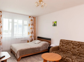 Апартаменты на Емельянова 35А 2