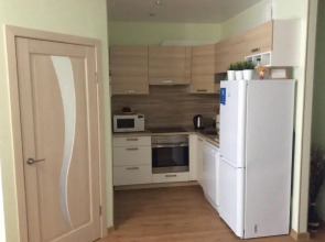 Апартаменты on Chapaeva Ecostil