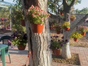 Гостевой дом Морская сказка