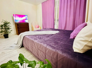 Квартира на Севастопольской 17