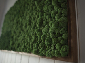 Частный дом Алтын Сарай