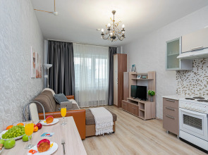 Апартаменты Cosmos Apart на Революции 48А (1)