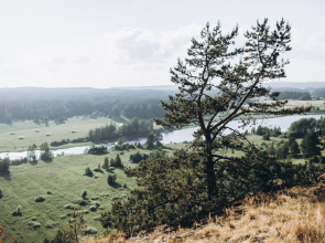 Глэмпинг Lago Ladoga