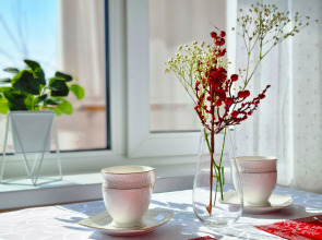 Апартаменты Бизнес класса Гармония у Ледового Дворца