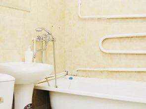 Апартаменты Central City Flat