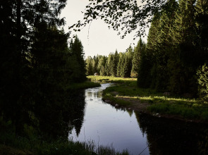 Бунгало Мазаная Горка