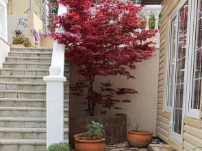 Гостевой дом Французский дом