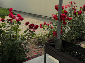 Гостевой дом Дар