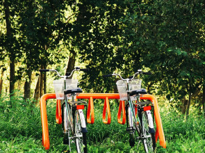 База отдыха  Ранчо