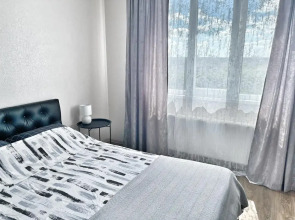 Квартира Елена Озерки