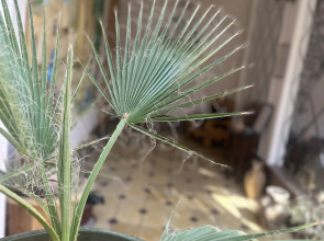 Гостевой Дом Dolon House