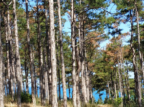 Гостевой дом Наша Дача