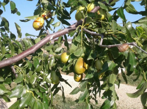 База Отдыха Эко Курорт Морское