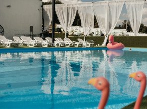 Scandi (Skandinaviya)