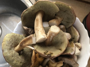 Бунгало Дункан