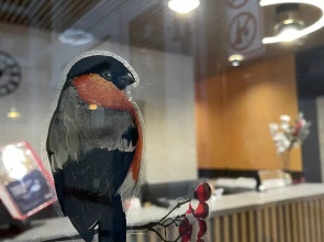 Отель Снегири