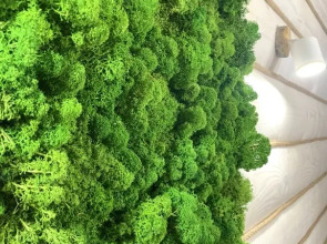 Апартаменты Эко&loft 1