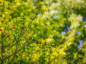 Istanbul Airport Durusu Club Hotel