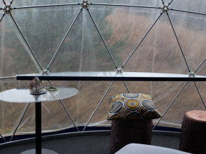 Глэмпинг Папоротник