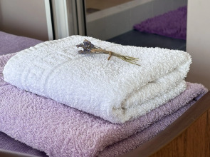 Частный дом Агава