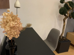 Апартаменты Newstory 1