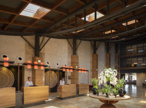 Lara Barut Collection