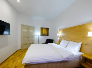 Апартаменты Петровские на Советской 90 (4)