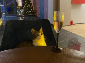 Гостиница Нotel 1963