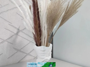 Квартира Студия Санторини в Центре Санаторного Парка